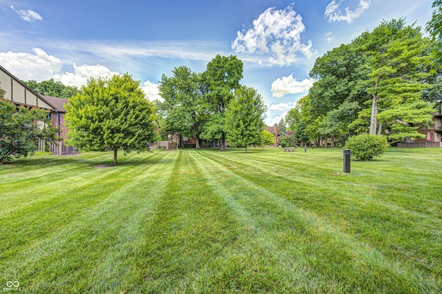 2206 Boston Ct Unit B, Indianapolis, IN 46228 - view of green lawn