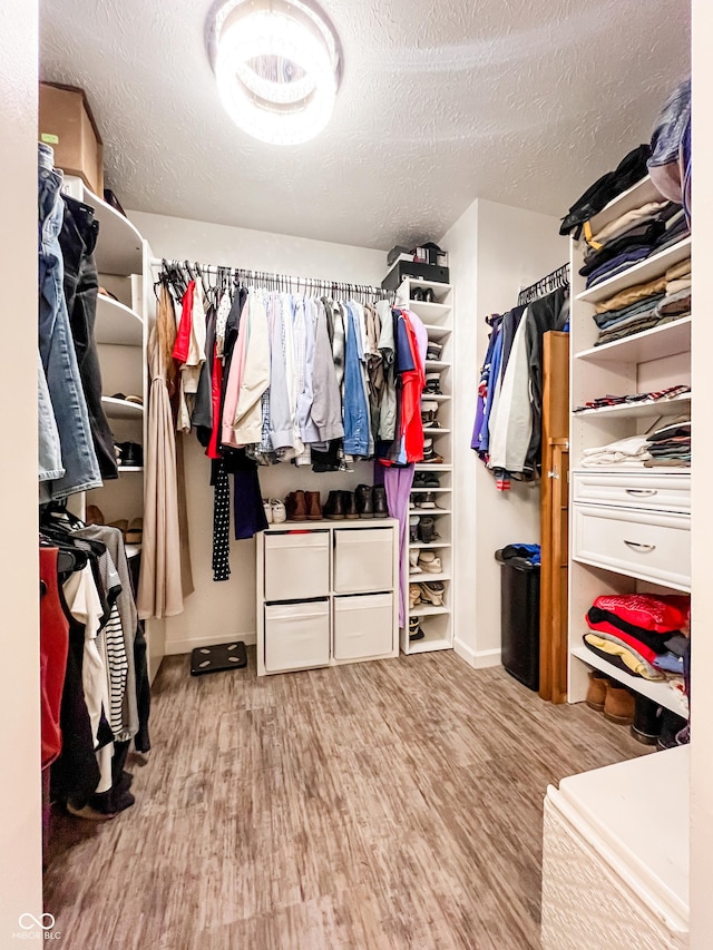 258 Center Ln, Crawfordsville, IN 47933 - walk in closet with wood finished floors