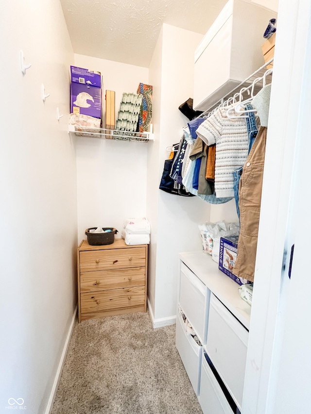 258 Center Ln, Crawfordsville, IN 47933 - spacious closet with light colored carpet