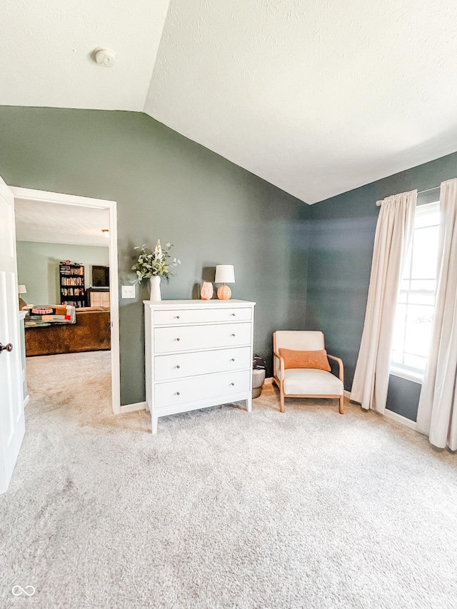 258 Center Ln, Crawfordsville, IN 47933 - living area featuring lofted ceiling and carpet floors