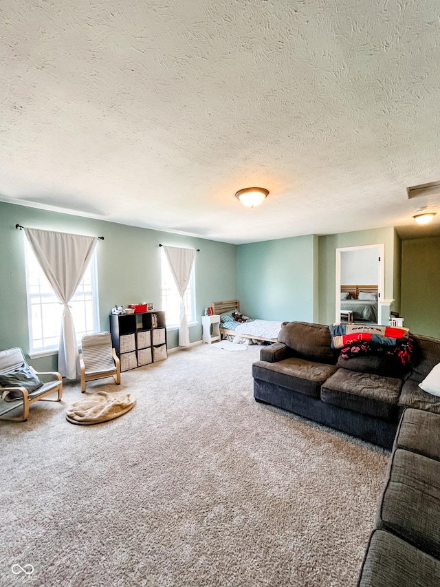 258 Center Ln, Crawfordsville, IN 47933 - living room featuring carpet flooring and a textured ceiling