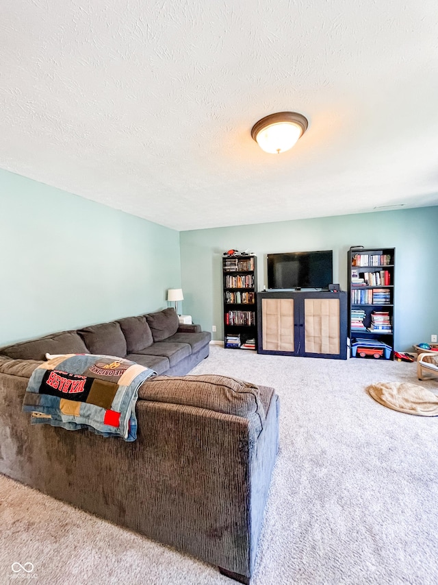 258 Center Ln, Crawfordsville, IN 47933 - living area with carpet flooring and a textured ceiling