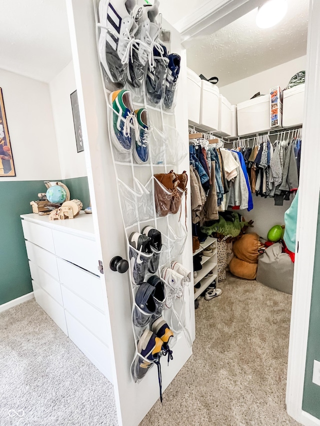 258 Center Ln, Crawfordsville, IN 47933 - walk in closet with carpet floors