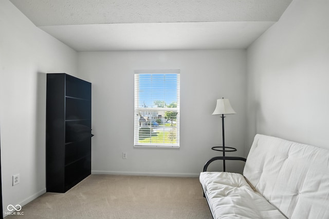3096 Wildcat Ln, Indianapolis, IN 46203 - sitting room with light carpet and baseboards