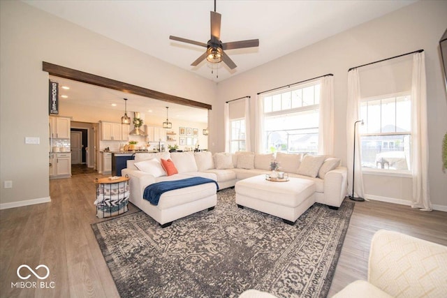 1615 N Blue Rd, Greenfield, IN 46140 - living room featuring wood finished floors and a ceiling fan