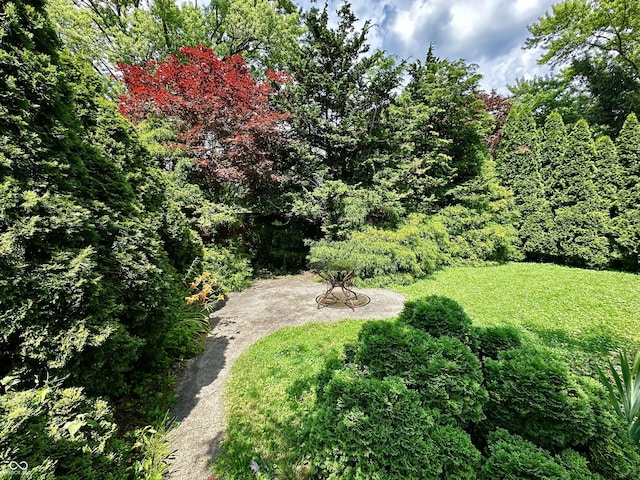 6209 N Parker St, Indianapolis, IN 46220 - view of green lawn with a wooded view