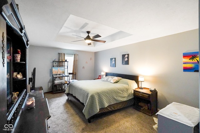 6020 E Smokey View Rd, Mooresville, IN 46158 - carpeted bedroom with a tray ceiling and ceiling fan