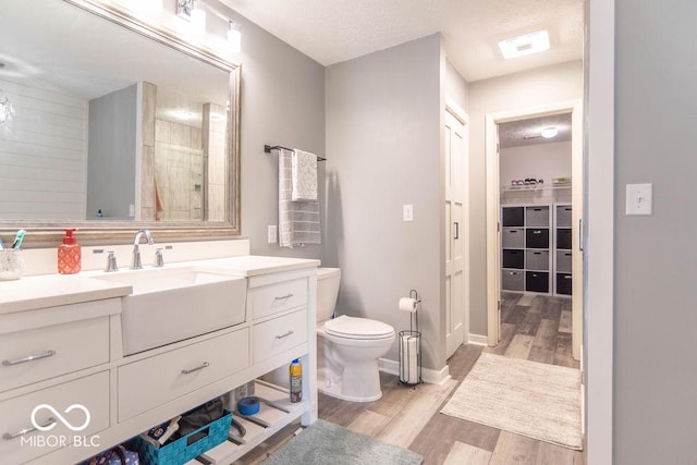 10450 Wintergreen Way, Indianapolis, IN 46234 - bathroom featuring wood finished floors, vanity, a textured ceiling, and a walk in closet