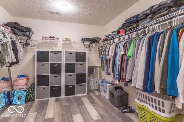 10450 Wintergreen Way, Indianapolis, IN 46234 - walk in closet featuring wood finished floors