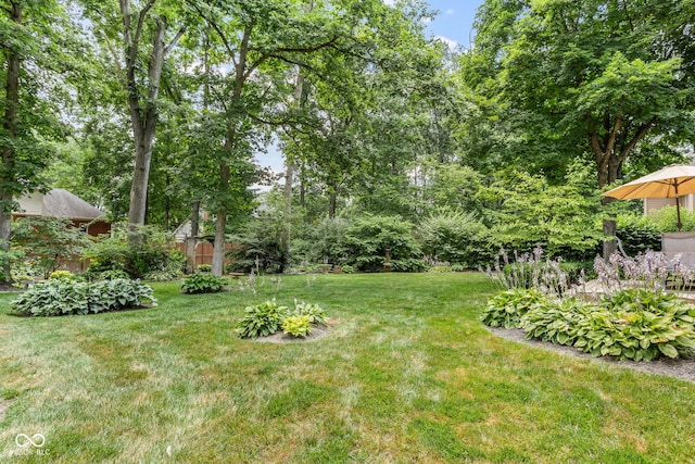7621 Forest Dr, Fishers, IN 46038 - view of yard