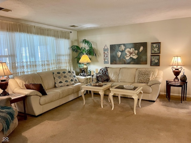 800 Walton Dr, Plainfield, IN 46168 - living area featuring carpet floors and a textured ceiling