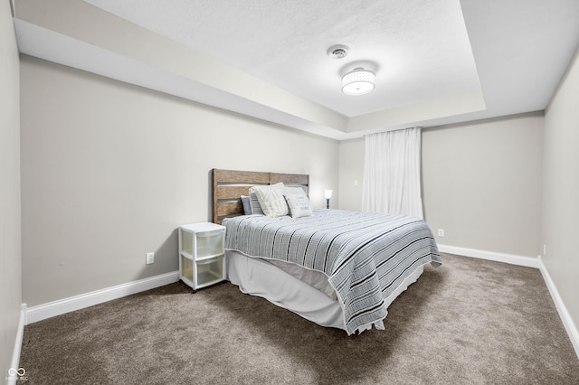 115 Jordan Rd, Indianapolis, IN 46217 - bedroom featuring carpet floors and a tray ceiling