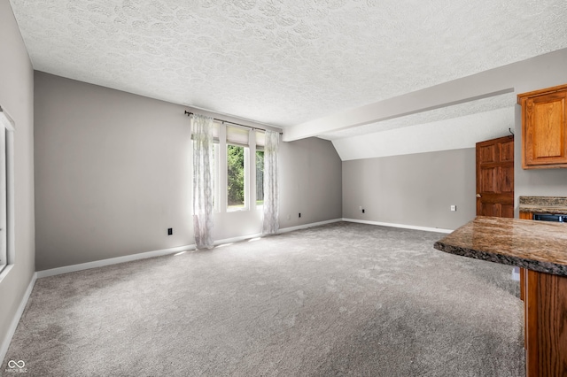 115 Jordan Rd, Indianapolis, IN 46217 - unfurnished living room featuring a textured ceiling, carpet flooring, and lofted ceiling