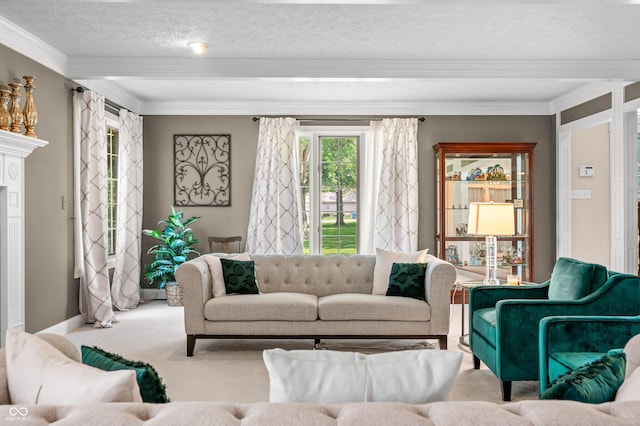 115 Jordan Rd, Indianapolis, IN 46217 - carpeted living area featuring crown molding and a textured ceiling
