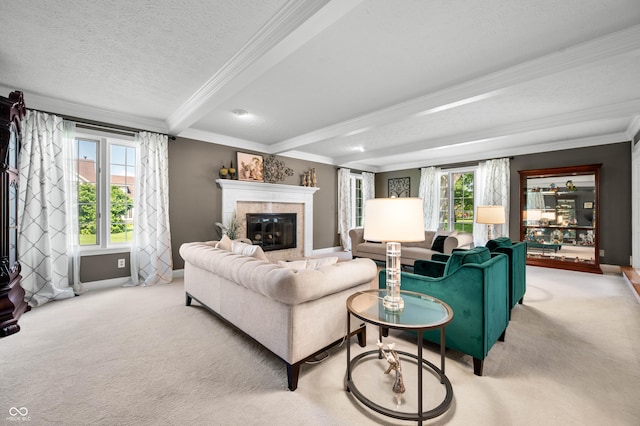 115 Jordan Rd, Indianapolis, IN 46217 - carpeted living room with crown molding, beam ceiling, a fireplace, and a textured ceiling