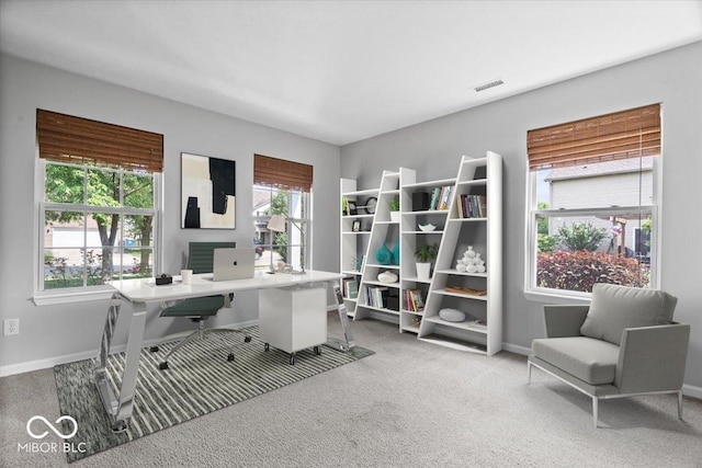 13386 Smokey Quartz Ln, Fishers, IN 46038 - office with plenty of natural light and carpet floors