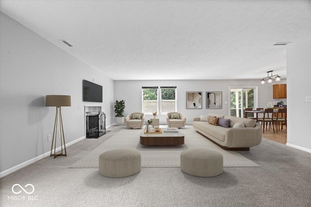 13386 Smokey Quartz Ln, Fishers, IN 46038 - carpeted living room with a fireplace and a textured ceiling