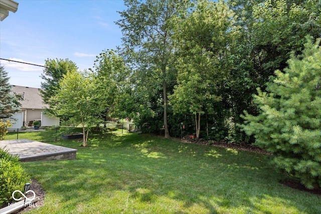 13386 Smokey Quartz Ln, Fishers, IN 46038 - view of yard