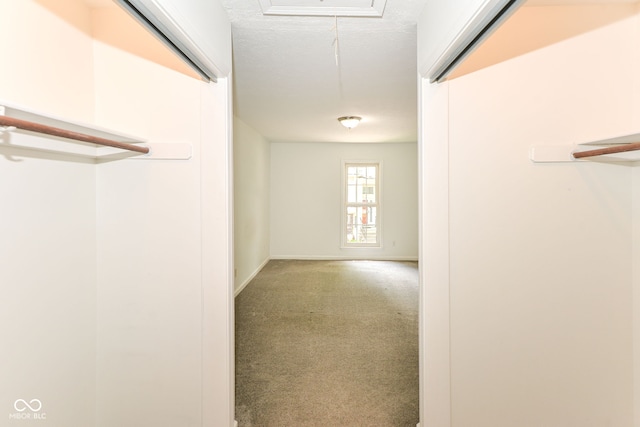 7547 Prairie Lake Dr, Indianapolis, IN 46256 - hallway featuring attic access and carpet