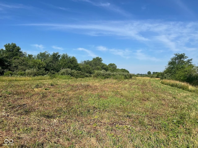 2748 S Meridian Rd, Greenfield, IN 46140 - view of undeveloped land