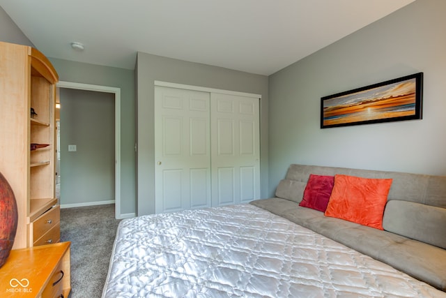 13879 Meadow Grass Way, Fishers, IN 46038 - bedroom featuring carpet flooring and a closet