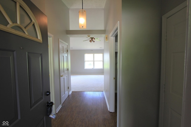 12221 Tallowtree Ct, Indianapolis, IN 46236 - corridor with dark wood-type flooring and dark carpet