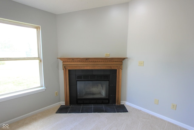 12221 Tallowtree Ct, Indianapolis, IN 46236 - detailed view of a fireplace and carpet floors