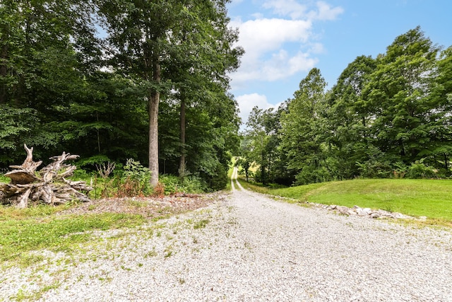 9729 Oak Hill Ln, Mooresville, IN 46158 - photo 11