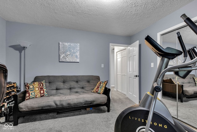 1006 Barry Dr, Lebanon, IN 46052 - exercise area with carpet floors and a textured ceiling