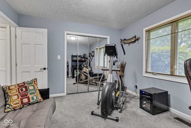 1006 Barry Dr, Lebanon, IN 46052 - workout room featuring carpet flooring and a textured ceiling