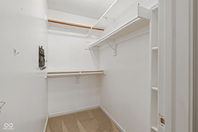 14098 Mimosa Ct, Fishers, IN 46038 - spacious closet featuring carpet
