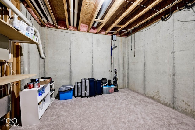 7844 N Timber Run Ct, Indianapolis, IN 46256 - view of unfinished below grade area