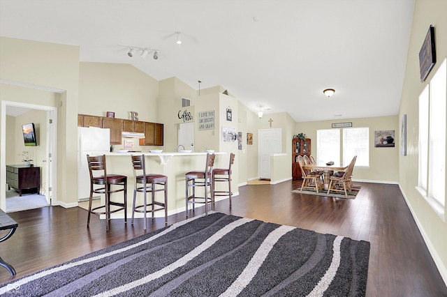 6417 Meadowpond Way, Indianapolis, IN 46235 - living room featuring dark wood-type flooring and high vaulted ceiling