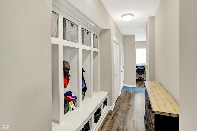 10490 Cleary Trace Dr, Fishers, IN 46040 - mudroom featuring dark wood-style floors
