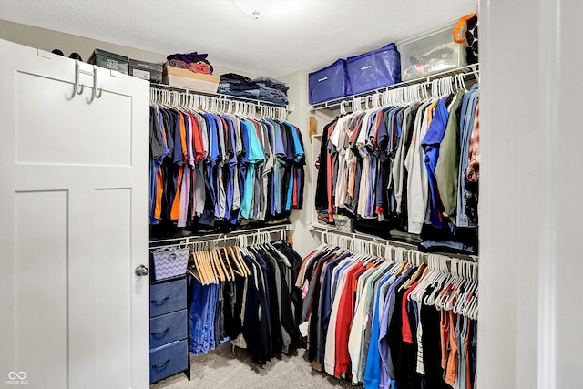 10490 Cleary Trace Dr, Fishers, IN 46040 - walk in closet with carpet floors