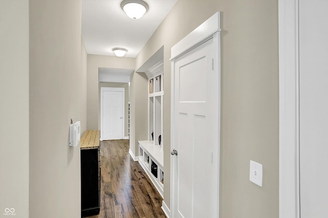10490 Cleary Trace Dr, Fishers, IN 46040 - corridor featuring dark wood-type flooring