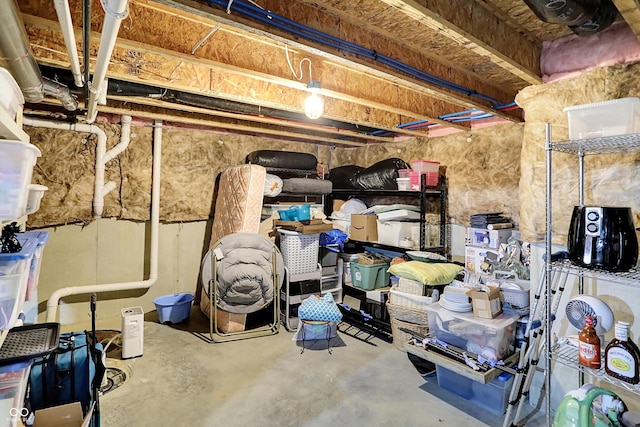 10490 Cleary Trace Dr, Fishers, IN 46040 - view of storage room