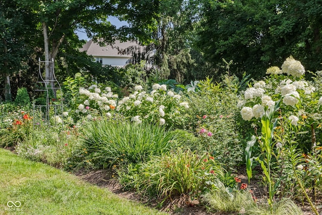11807 N Gray Rd, Carmel, IN 46033 - photo 54