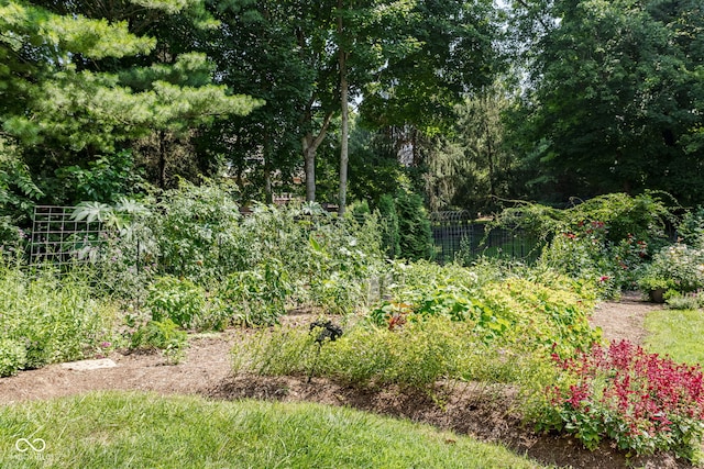 11807 N Gray Rd, Carmel, IN 46033 - photo 53