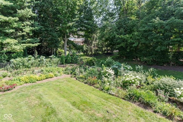 11807 N Gray Rd, Carmel, IN 46033 - photo 52