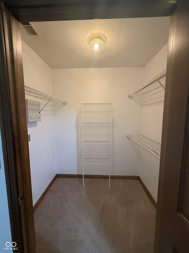1338 Swan Dr, Franklin, IN 46131 - walk in closet with carpet