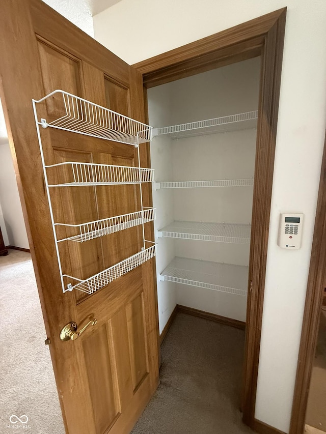 1338 Swan Dr, Franklin, IN 46131 - view of pantry