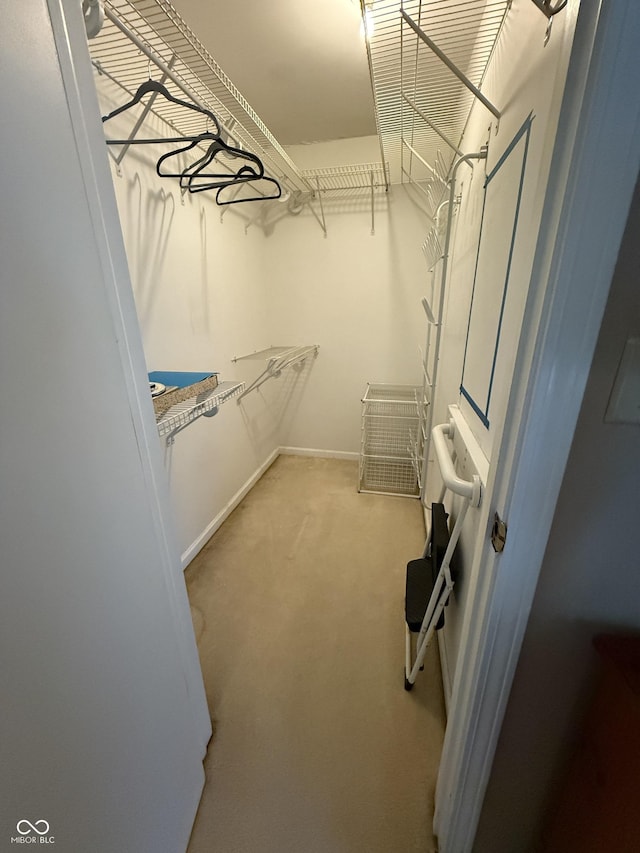 511 Canterbury Ct, Noblesville, IN 46060 - walk in closet with carpet