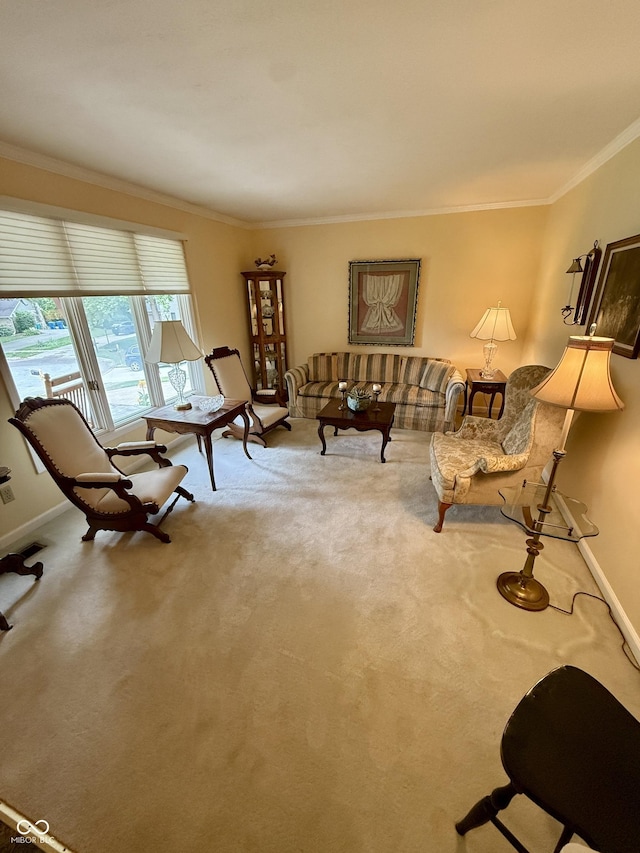511 Canterbury Ct, Noblesville, IN 46060 - carpeted living area featuring ornamental molding and baseboards