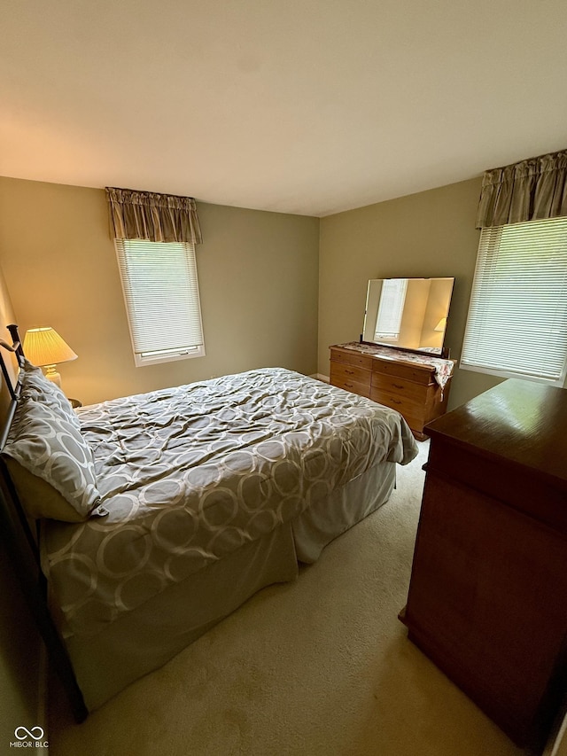 511 Canterbury Ct, Noblesville, IN 46060 - view of carpeted bedroom
