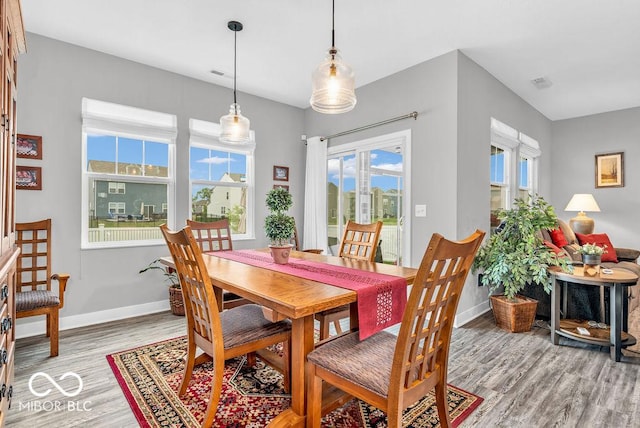 9470 Tobin Cir, Avon, IN 46123 - dining room with light wood-style floors and plenty of natural light