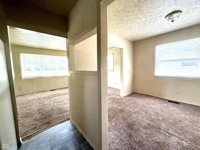 3034 E 35th St, Indianapolis, IN 46218 - hallway featuring carpet, a textured ceiling, and healthy amount of natural light