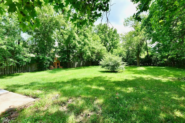 8921 E 21st St, Indianapolis, IN 46219 - view of yard