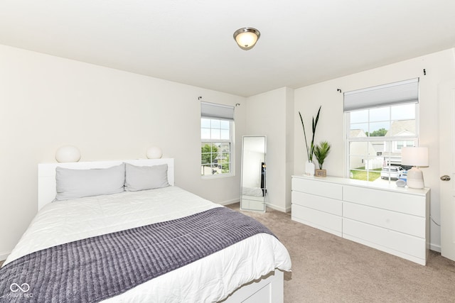 6819 Park Grove Blvd, Whitestown, IN 46075 - bedroom with light carpet and baseboards