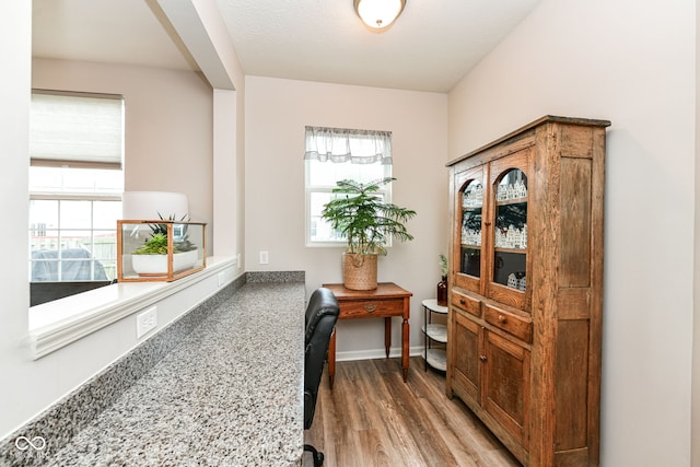 6819 Park Grove Blvd, Whitestown, IN 46075 - office space featuring healthy amount of natural light and wood finished floors